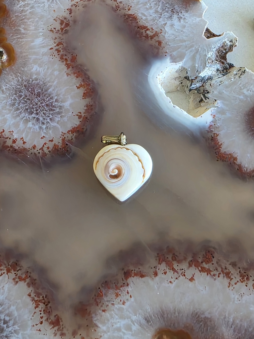 Shiva Heart Shell Pendant Necklace in Cream